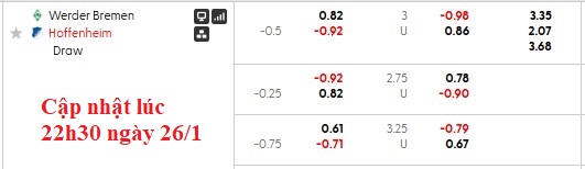 Nhận định, soi kèo Bremen vs Hoffenheim, 2h30 này 28/1: Mất phương hướng - Ảnh 5