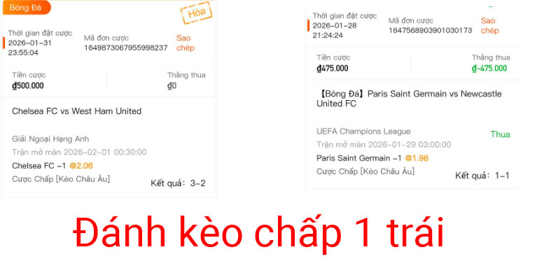 k&egrave;o nh&agrave; c&aacute;i ch&acirc;u &Aacute; chấp 1 quả