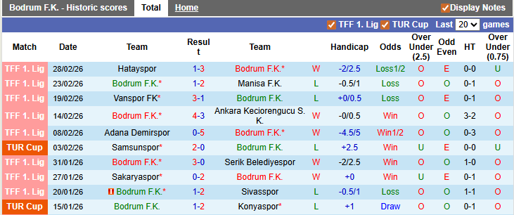 Nhận định, soi kèo Bodrum vs Igdir, 0h30 ngày 6/3: Trận cầu thủ tục - Ảnh 1