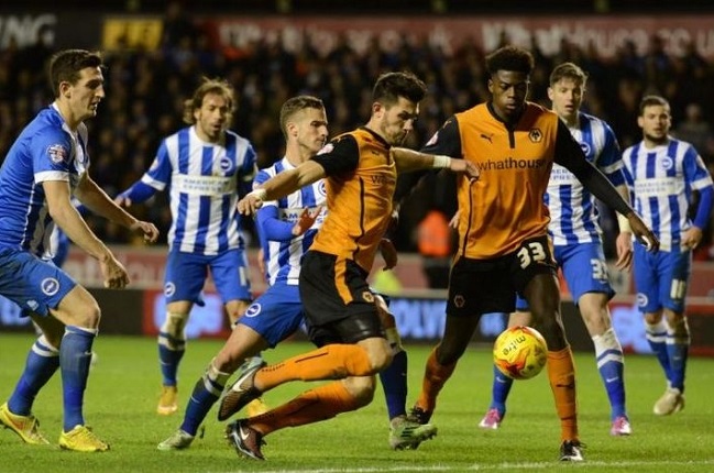 Nhận định Brighton vs Wolves, 0h30 ngày 3/1