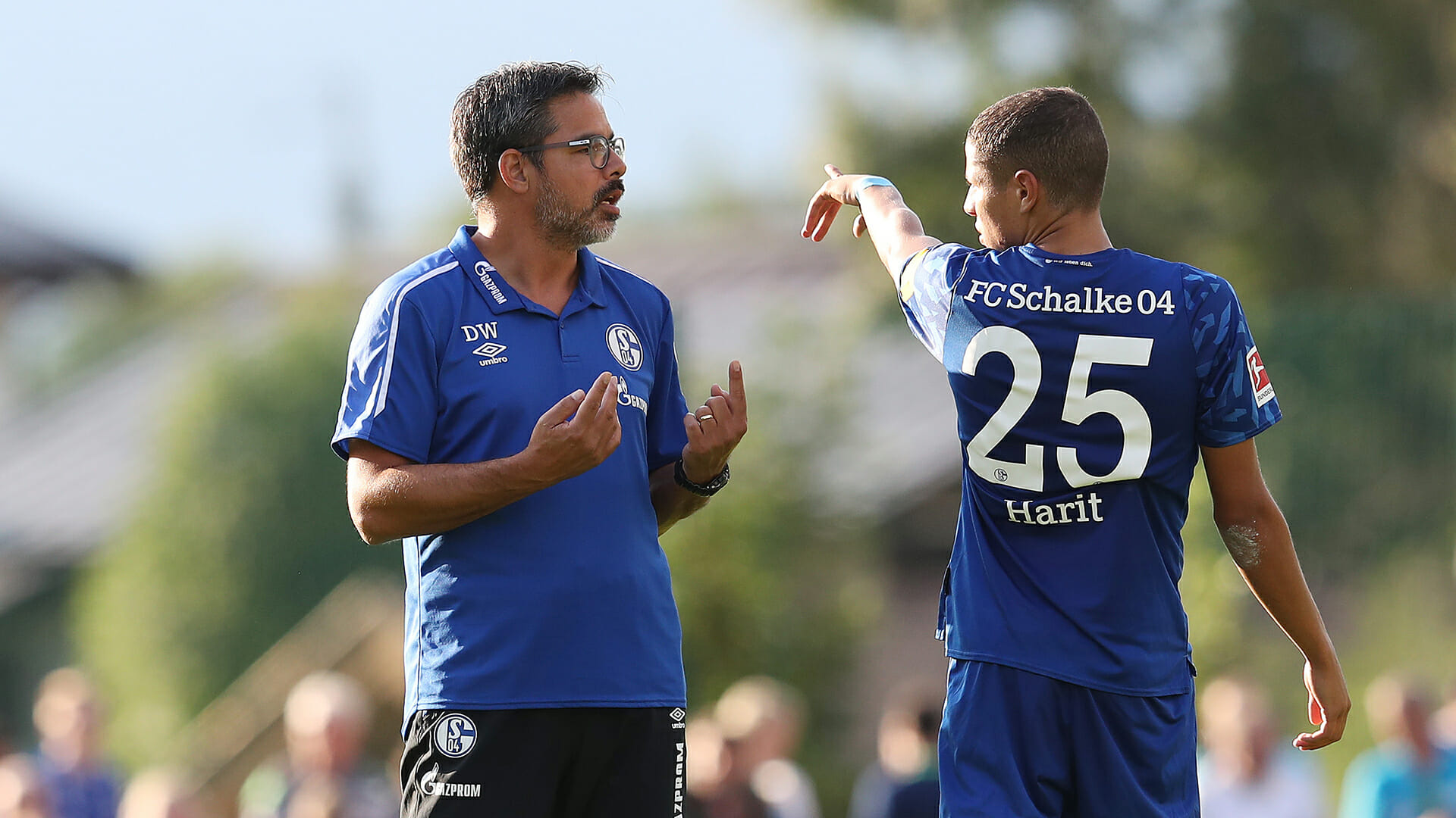 Ph&acirc;n t&iacute;ch tỷ lệ Schalke 04 vs Alanyaspor, 19h ng&agrave;y 2/8