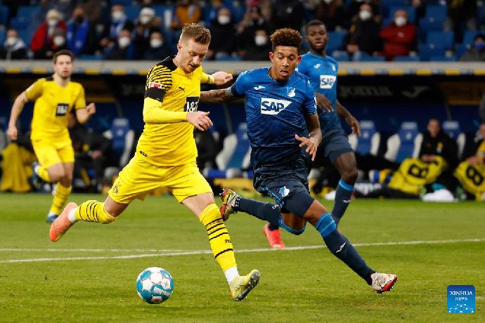 Nhận định, soi kèo Dortmund vs Hoffenheim, 0h00 ngày 2/11