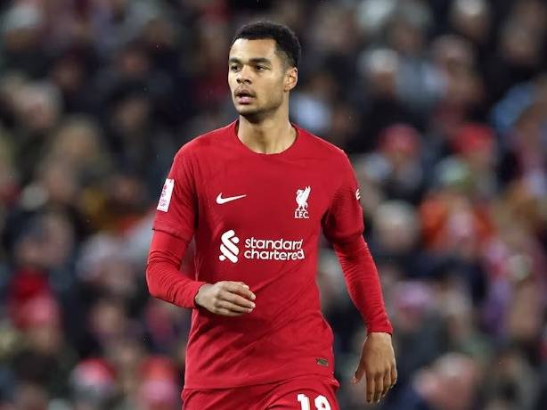 Cody Gakpo dần thoát khỏi cái mác “dự bị hạng sang”