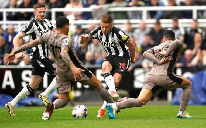 Nhận định, soi kèo Newcastle vs Tottenham, 3h15 ngày 3/12: Chích chòe đấu Gà trống