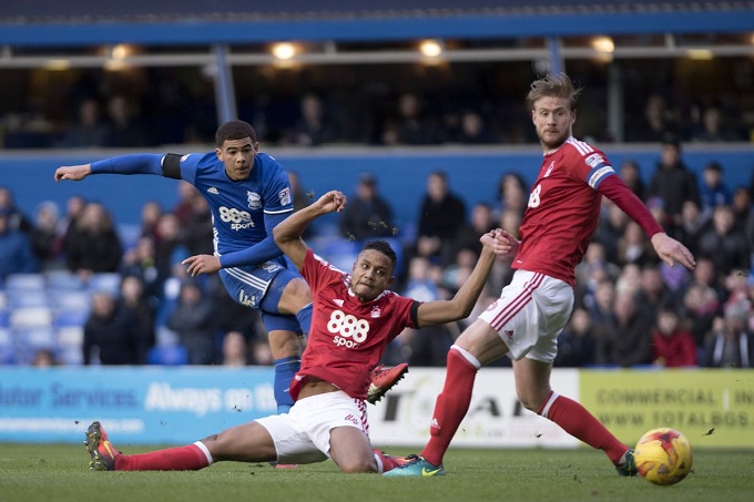 Nhận định Brighton vs Sheffield Wednesday, 22h00 ngày 4/1