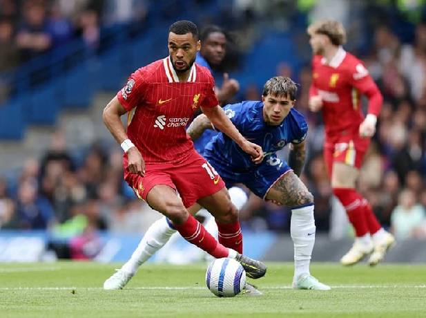 Opta dự đoán vòng 7 giải Ngoại hạng Anh: Liverpool gặp khó trước Chelsea