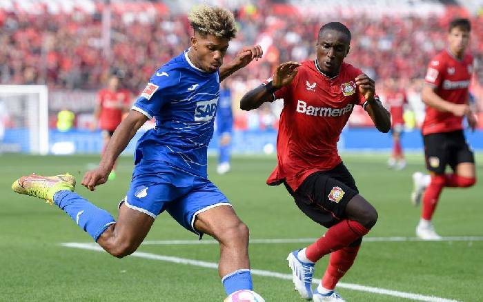 Nhận định, soi kèo Hoffenheim vs Bayer Leverkusen, 21h30 ngày 04/11