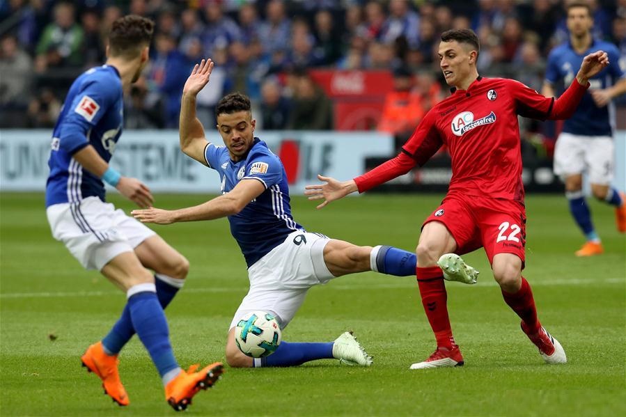 Nhận định Schalke 04 vs Sint Truidense VV, 23h00 ngày 7/1