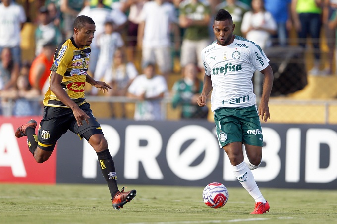 Nhận định bóng đá Vasco Gama vs Palmeiras, 7h30 ngày 7/11: Chiến đầu vì ngôi vương