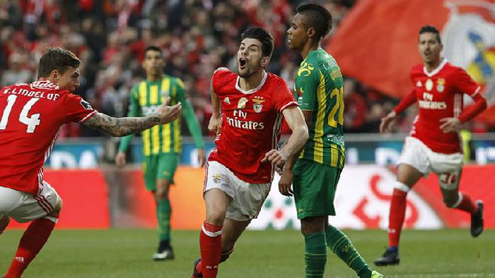 Nhận định, soi kèo Benfica vs Pacos Ferreira, 1h ngày 10/1