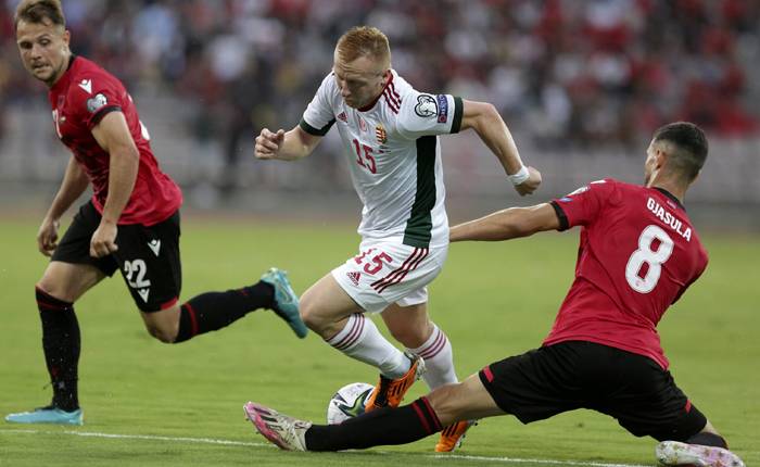 Nhận định, soi k&egrave;o Hungary vs Albania, 1h45 ng&agrave;y 10/10
