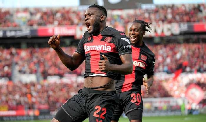 Nhận định, soi kèo Bayer Leverkusen vs Wolfsburg, 01h30 ngày 11/3: Săn sói