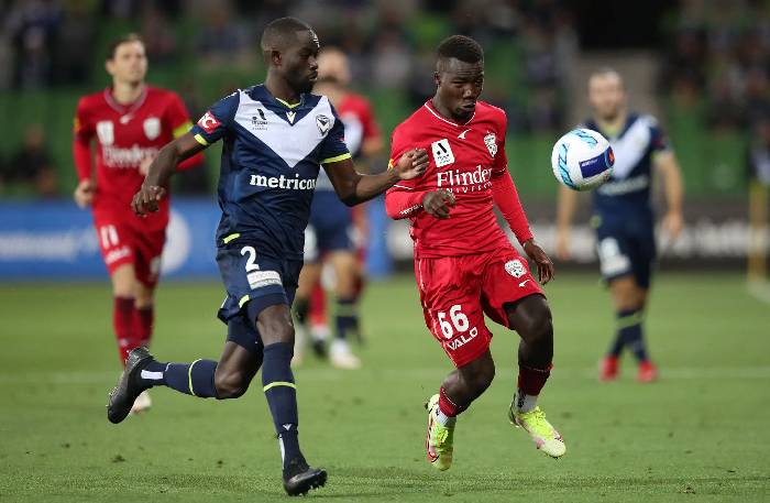 Soi kèo rung bàn thắng Adelaide vs Melbourne Victory, 15h45 ngày 11/11