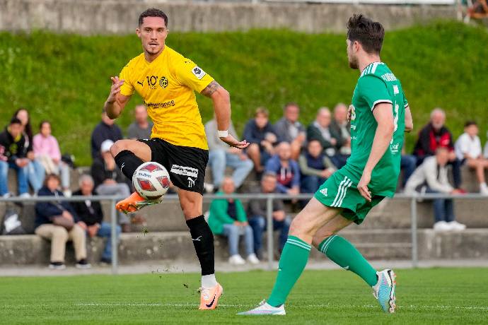 Máy tính dự đoán bóng đá 11/8: Stade Nyonnais vs Schaffhausen