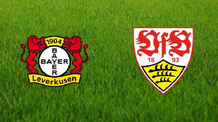 Nhận định, soi kèo Leverkusen vs Stuttgart, 21h30 ngày 12/11