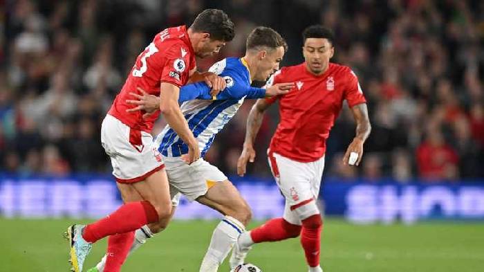 Tiên tri đại bàng dự đoán Nottingham Forest vs Crystal Palace, 22h ngày 12/11