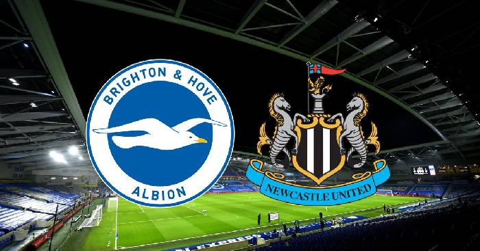 Nhận định, soi kèo Brighton vs Newcastle, 21h ngày 13/8