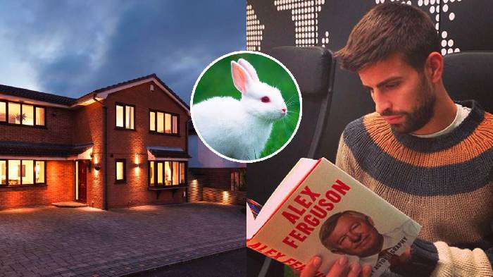 Cười 'lộn ruột' với câu chuyện con thỏ của Pique và Sir Alex