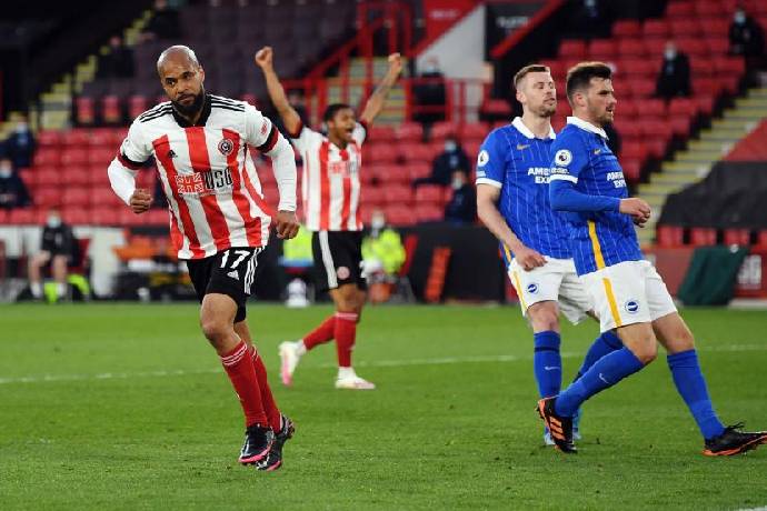 Nhận định, soi kèo Brighton vs Sheffield United, 21h00 ngày 12/11