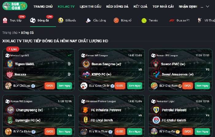 Những Lưu Ý Khi Xem Bóng Đá Trực Tuyến Không Bị Giật Lag