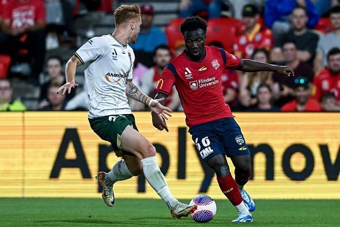 Nhận định, soi kèo Newcastle Jets với Adelaide United, 15h45 ngày 15/3: Cơ hội cho chủ nhà
