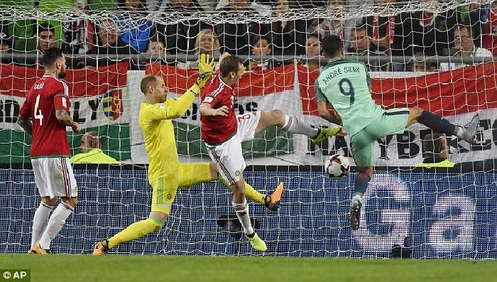 Biến động tỷ lệ kèo Hungary vs Bồ Đào Nha, 23h ngày 15/6