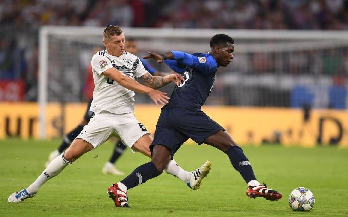 Rùa tiên tri dự đoán Pháp vs Đức, 2h00 ngày 16/6