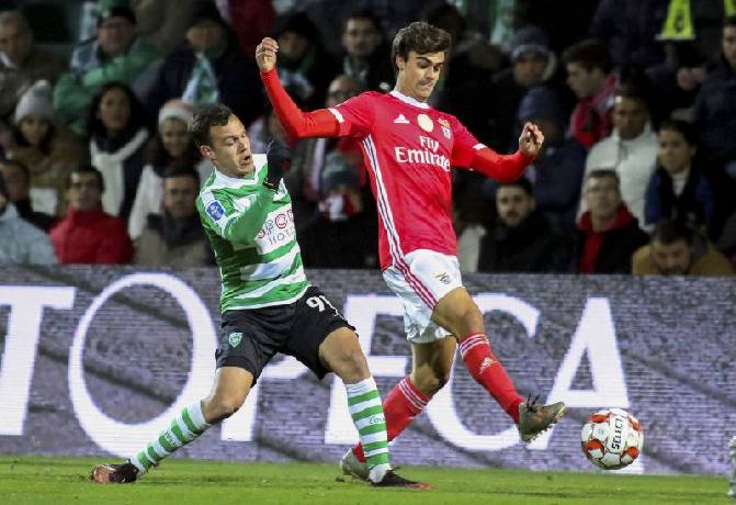 Nhận định, soi kèo Benfica vs Sporting Covilha, 2h ngày 16/12
