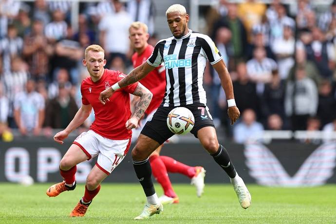 Nhận định, soi kèo Nottingham Forest vs Newcastle, 3h00 ngày 18/3