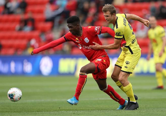 Soi kèo chẵn/ lẻ Adelaide vs Wellington Phoenix, 15h45 ngày 17/3