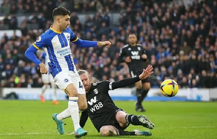 Nhận định, soi kèo Brighton vs Fulham, 21h00 ngày 16/8: Chim mòng biển bay cao
