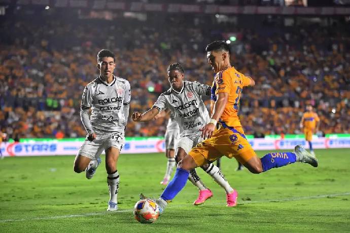 Nhận định, soi kèo Tigres UANL vs Club Necaxa, 10h00 ngày 18/10: Bắt nạt con mồi quen