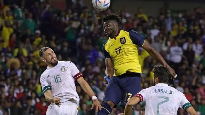 Th&ocirc;ng tin lực lượng mới nhất Qatar vs Ecuador, 23h ng&agrave;y 20/11