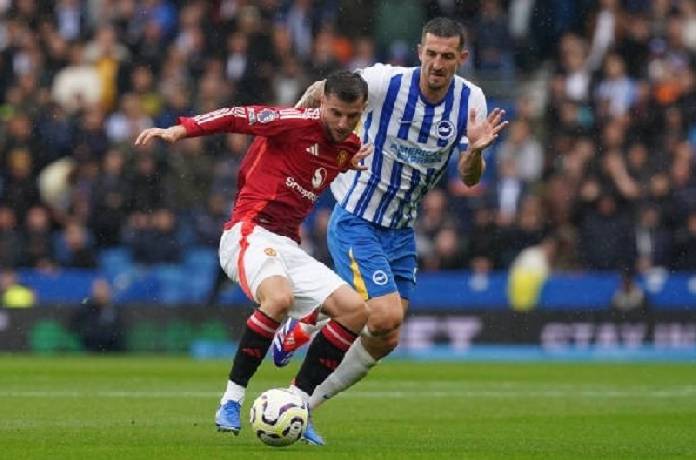 Link xem trực tiếp MU vs Brighton Ngoại hạng Anh 21h00 ng&agrave;y 19/1