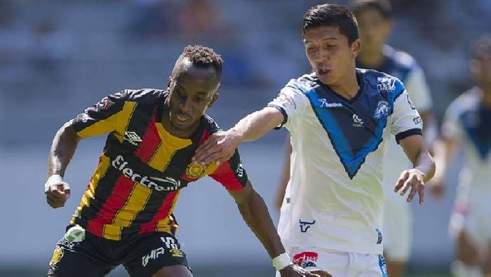 Nhận định, soi kèo Venados với Cimarrones Sonora, 08h05 ngày 21/03: Dễ dàng đút túi 3 điểm