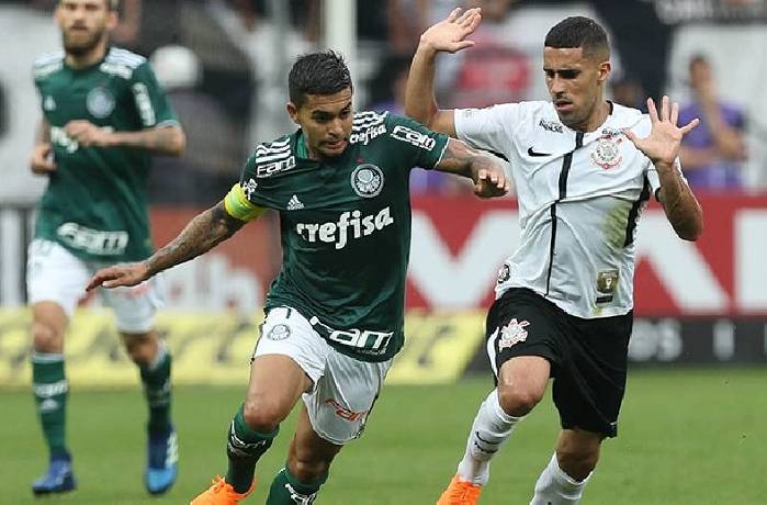 Soi kèo tài xỉu America Mineiro vs Palmeiras hôm nay, 6h ngày 22/7
