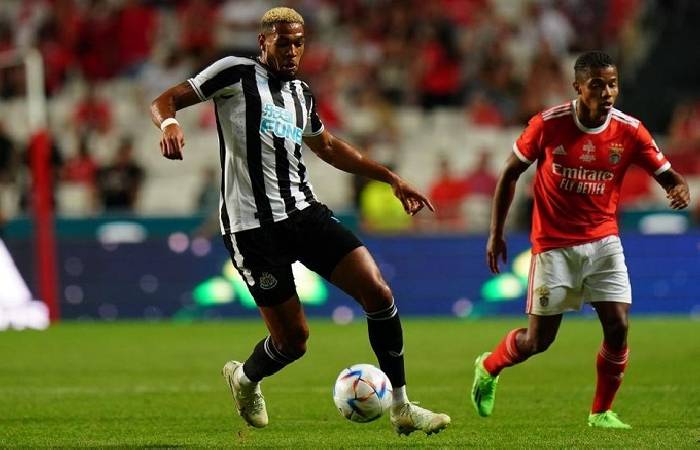 Nhận định, soi kèo Newcastle vs Benfica, 2h00 ngày 22/10: Điểm số đầu tiên