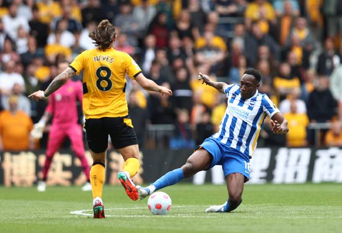 Nhận định, soi kèo Brighton vs Wolves, 2h45 ngày 23/1