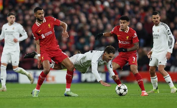 Link xem trực tiếp Liverpool vs Lille C&uacute;p C1 03h00 ng&agrave;y 22/1