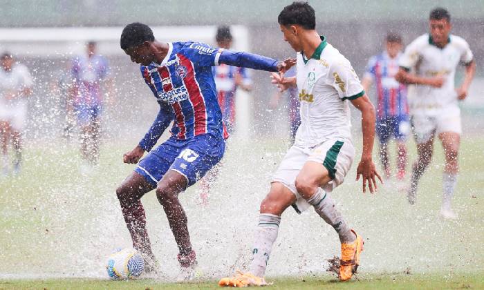 Nhận định, soi kèo Criciuma vs Bahia, 05h00 ngày 24/5: Tạm biệt chủ nhà