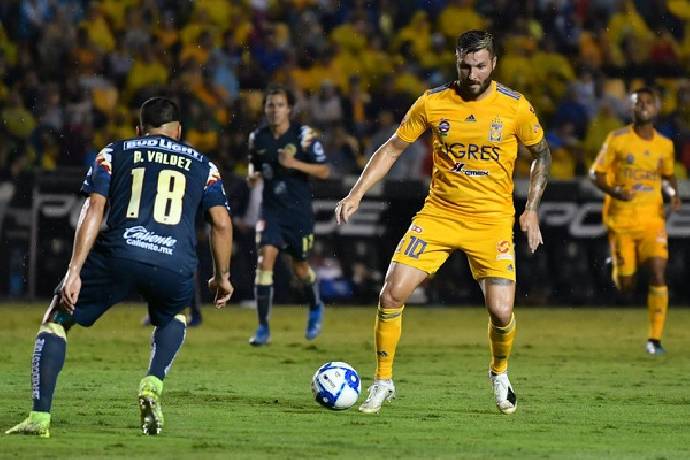 Nhận định, soi kèo Tigres UANL vs Club América, 7h00 ngày 24/4