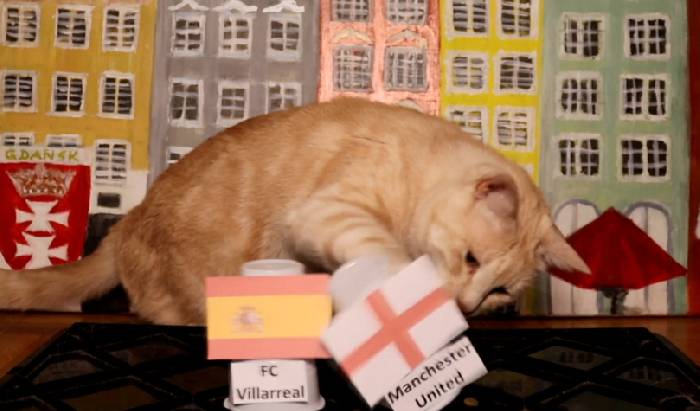 Mèo tiên tri dự đoán Villarreal vs MU, 2h ngày 27/5