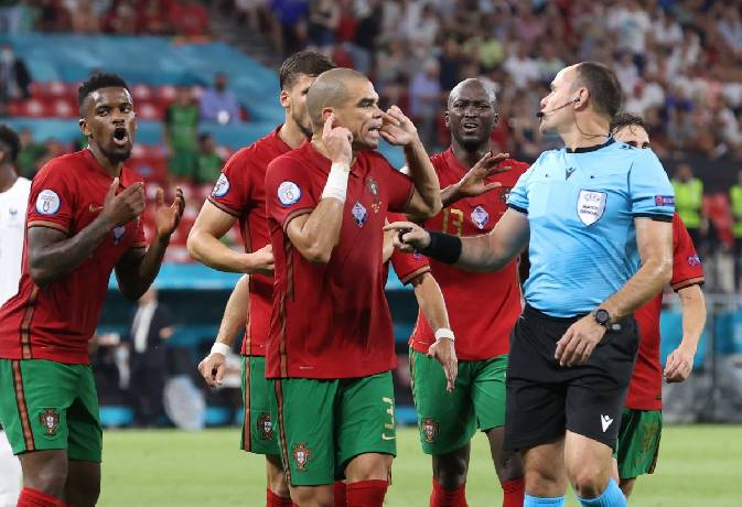 Tiên tri mèo Cass dự đoán Bỉ vs Bồ Đào Nha, 2h ngày 28/6