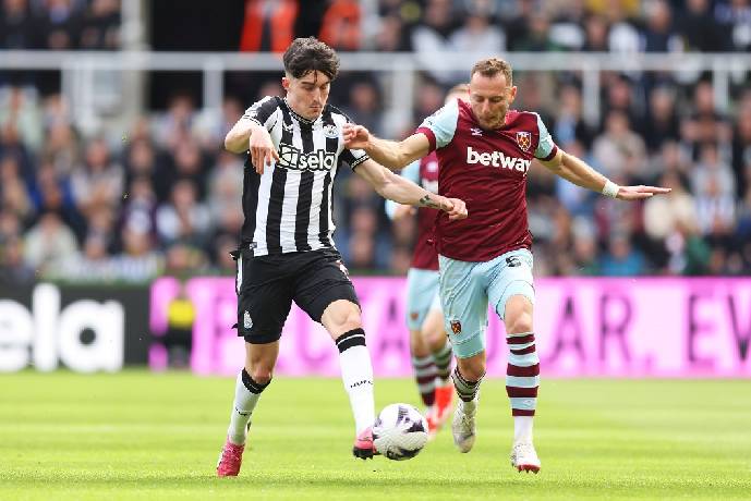 Link xem trực tiếp Newcastle vs West Ham Ngoại hạng Anh 03h00 ng&agrave;y 26/11