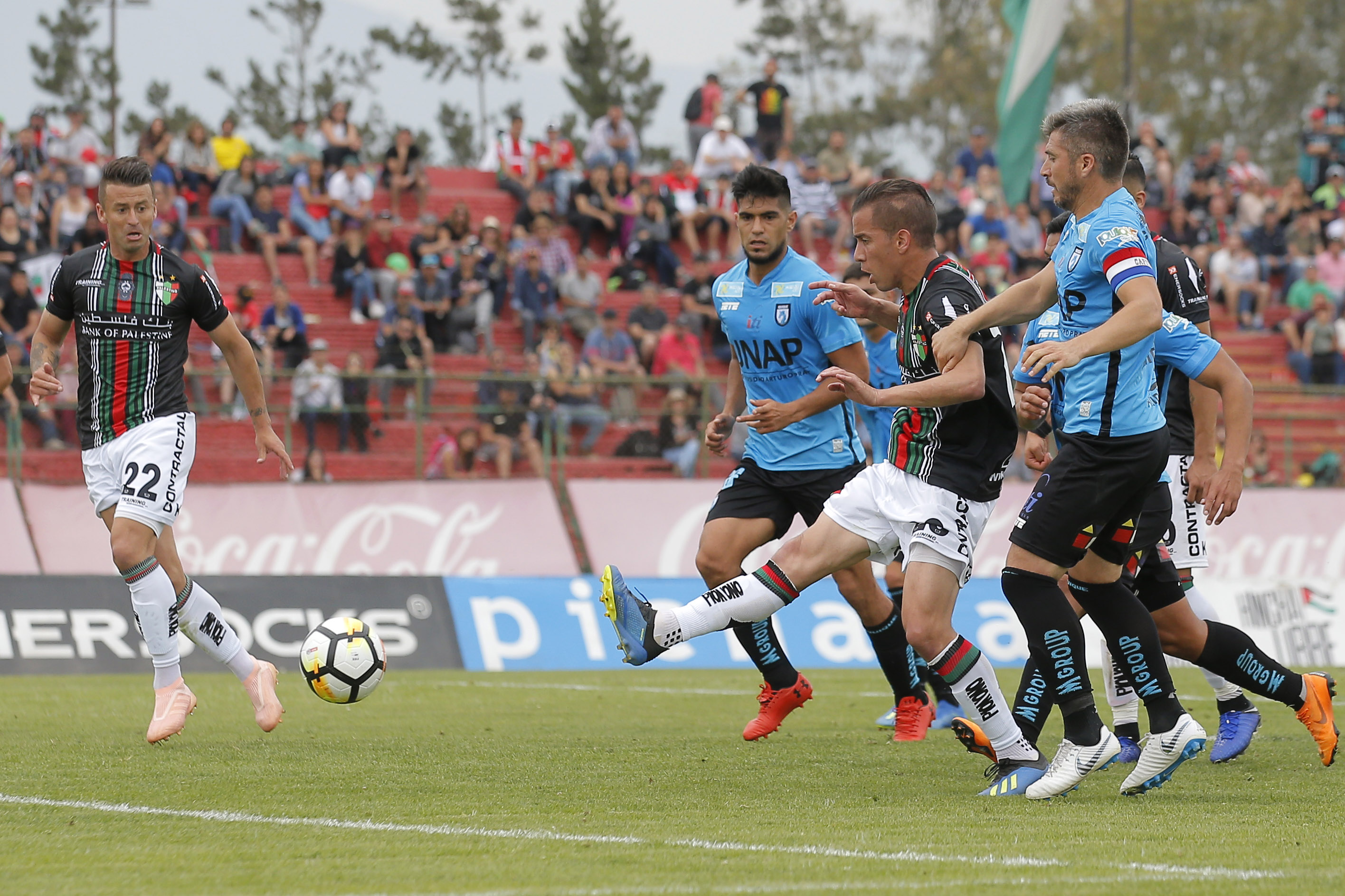 Nhận định Deportes Iquique vs Palestino, 20h30 ngày 28/12