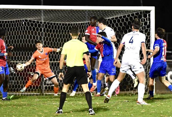 Nhận định, soi kèo Port Melbourne Sharks vs Preston Lions, 16h15 ngày 28/3: Viết lại lịch sử