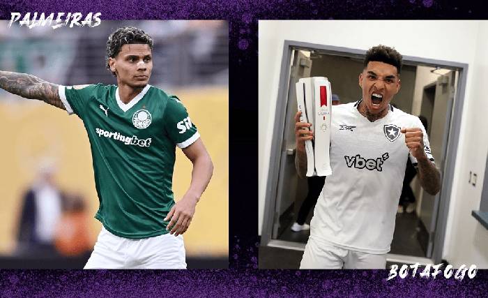 Link xem trực tiếp Palmeiras vs Botafogo h&ocirc;m nay, 23h00 ng&agrave;y 28/6