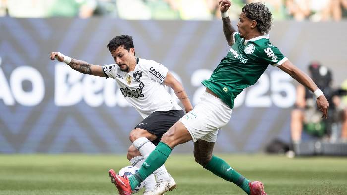 Siêu máy tính dự đoán Palmeiras vs Botafogo, 23h00 ngày 28/6