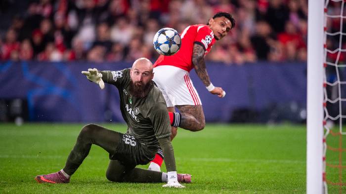 Nhận định, soi kèo Arouca vs Gil Vicente, 22h30 ngày 28/12: Khó phân thắng bại