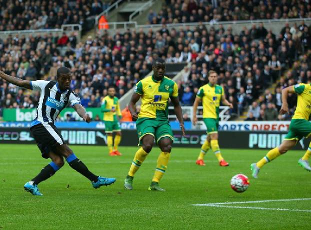 Nhận định, soi kèo Newcastle vs Norwich, 2h30 ngày 1/12